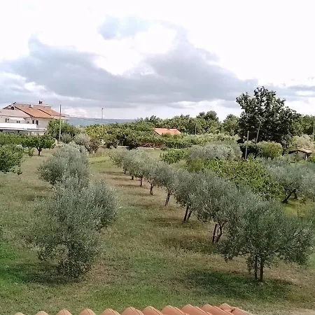 Apartma Barizoni Apartment