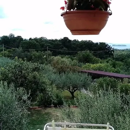 Apartma Barizoni *