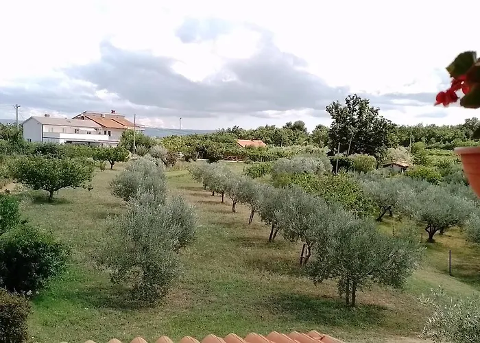 Apartma Barizoni Daire