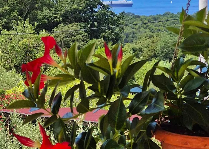 Daire Apartma Barizoni *